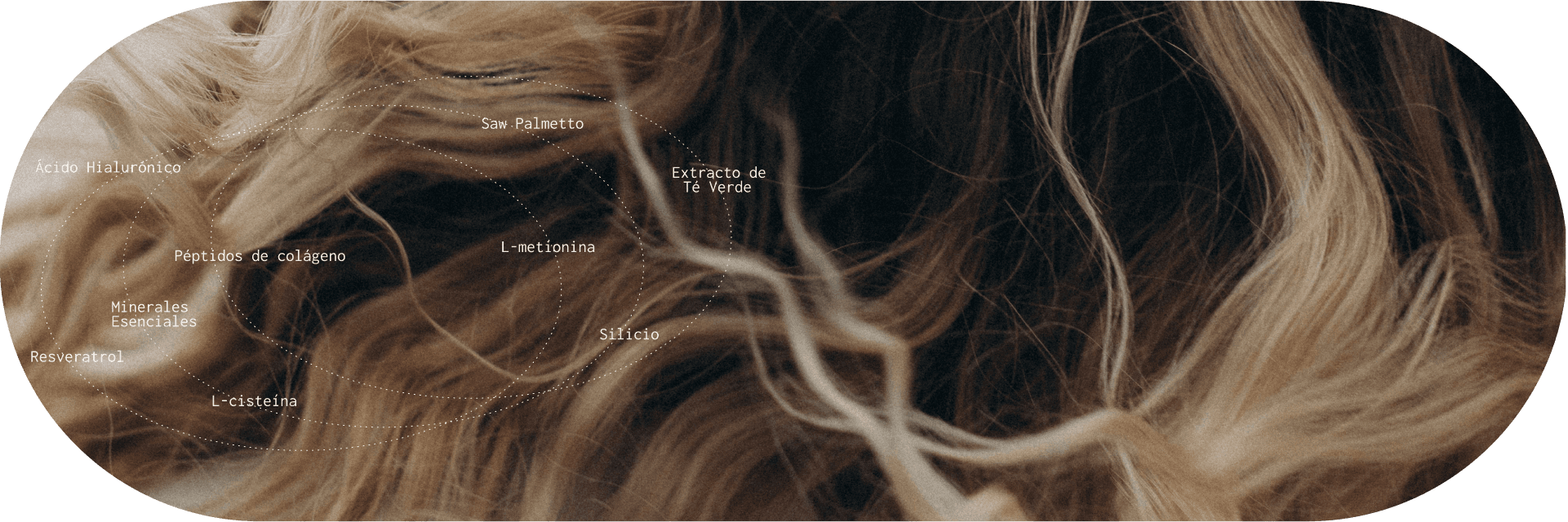 Soluciones reales desde la raíz