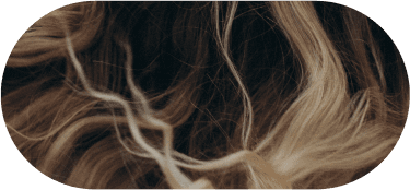 Soluciones reales desde la raíz