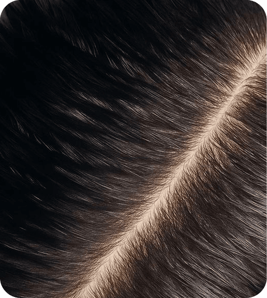 de las mujeres notó menos caída del cabello después de 3 meses.